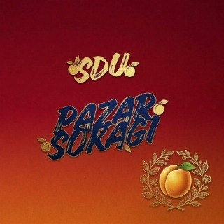SDU PAZAR SOKAGI