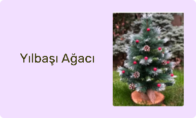 Yılbaşı Ağacı