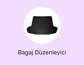 Bagaj Düzenleyici