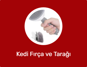 Kedi Fırça ve Tarağı