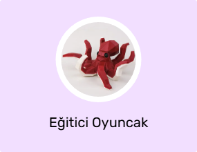 Eğitici Oyuncak