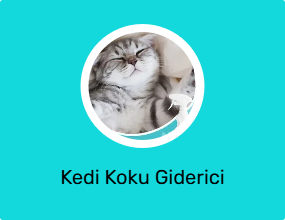 Kedi Koku Giderici