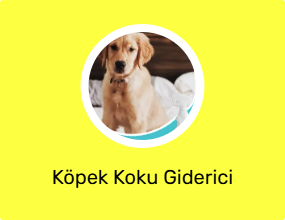Köpek Koku Giderici