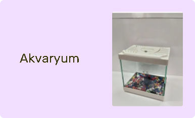 Akvaryum