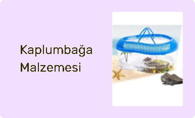 Kaplumbağa Malzemesi