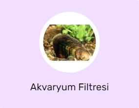 Akvaryum Filtresi