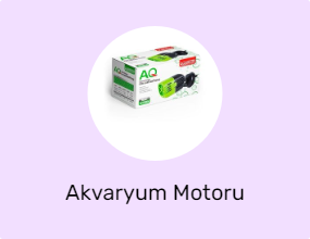 Akvaryum Motoru