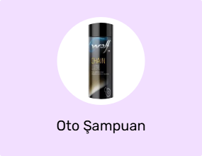 Oto Şampuan