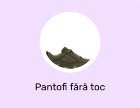 Pantofi fără toc