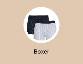 Boxer