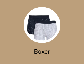 Boxer