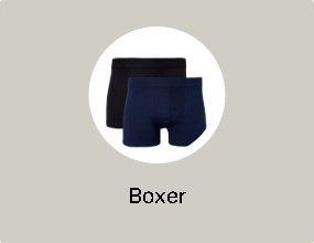 Boxer