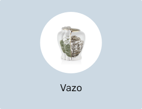 Vazo