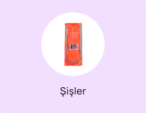 Şişler