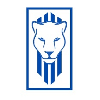 Lioness Activewear logo