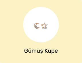 Gümüş Küpe