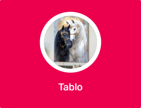Tablo