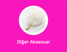 Diğer Aksesuar