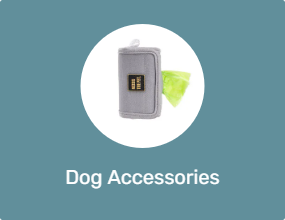 Dog Accessories