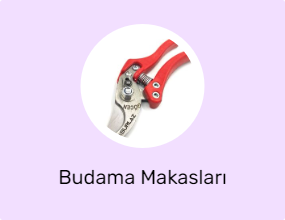Budama Makasları