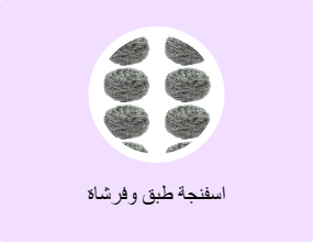 اسفنجة طبق وفرشاة