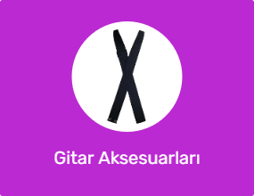 Gitar Aksesuarları