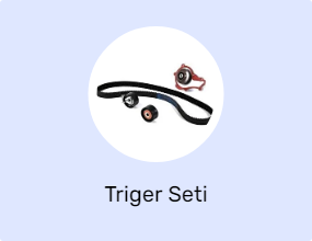 Triger Seti
