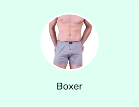 Boxer
