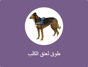 طوق لعنق الكلب