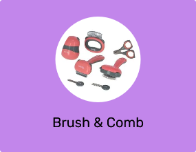 Brush & Comb