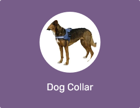 Dog Collar