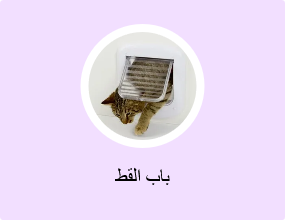 باب القط