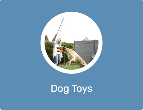Dog Toys