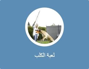 لعبة الكلب