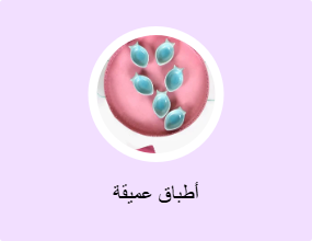 أطباق عميقة