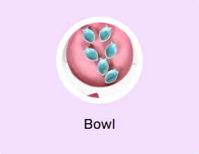 Bowl