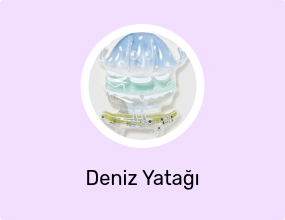 Deniz Yatağı