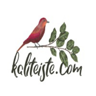 ATASEVEN Ticaret logo