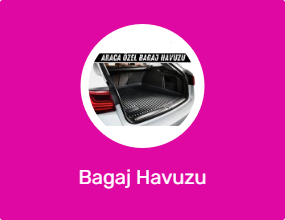Bagaj Havuzu