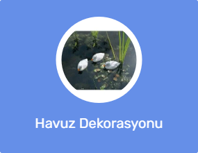 Havuz Dekorasyonu