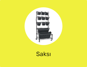 Saksı