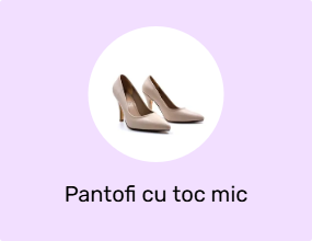 Pantofi cu toc mic