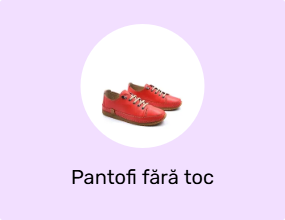 Pantofi fără toc