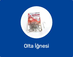 Olta İğnesi