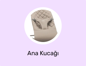 Ana Kucağı