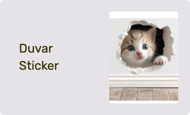 Duvar Sticker