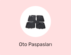 Oto Paspasları