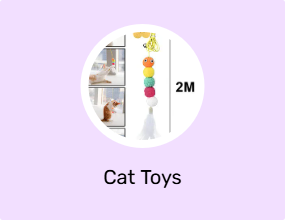 Cat Toys