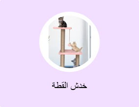 خدش القطة