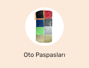Oto Paspasları